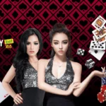 Video Poker Online Gratis: A Complete Guide to Poker88 and Poker IDN